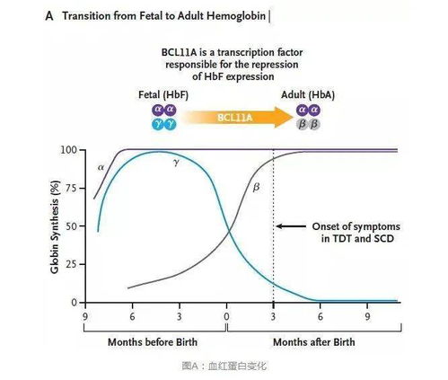 美首次批准治疗镰状细胞病基因疗法