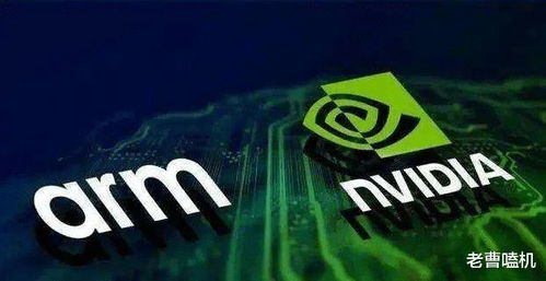 越南政府：英伟达(NVDA.US)计划在