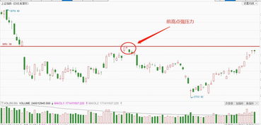 森淼科技盘中异动 早盘快速拉升5.29%报0.358美元