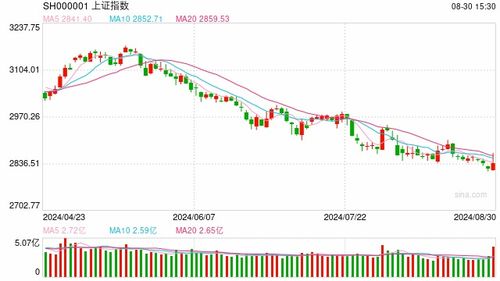 视频 | 杨德龙：利好因素不断增多 跨年行情呼之欲出