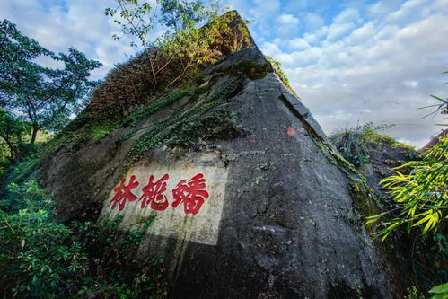 福州鼓岭最全游玩攻略