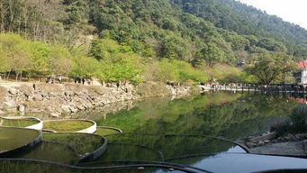 福州国家森林公园游玩攻略