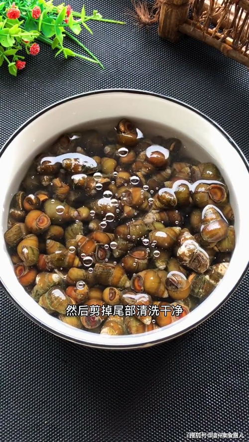 福州最好吃的炒田螺