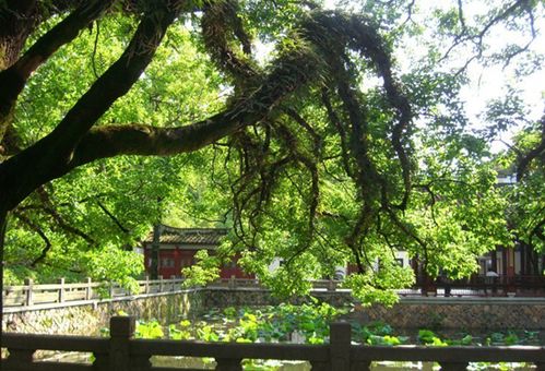 福州西湖游玩路线攻略