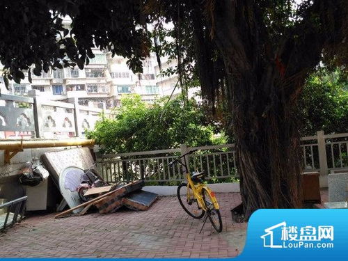 福州快乐园好玩吗