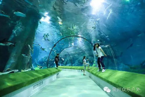 福州海洋世界好玩吗