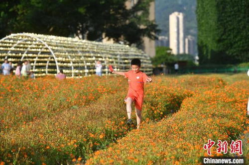 花海公园福州哪里好玩