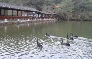 福州到冠豸山旅游攻略