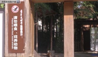 福州动物园攻略青楼