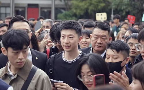 瓦尔德内尔接机马龙
