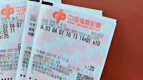 千万彩票被冒领 男子头发全白了