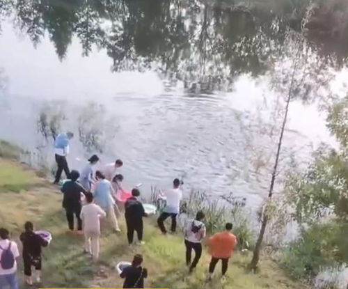 水利局回应老人河边放生大米