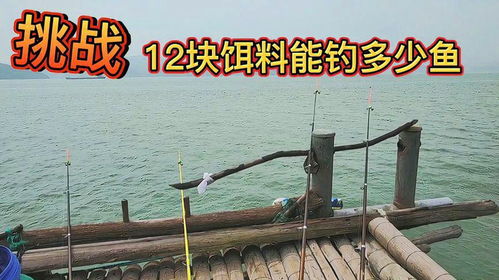 福州海边哪里鱼多又好吃