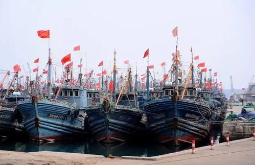 福州码头海鲜攻略