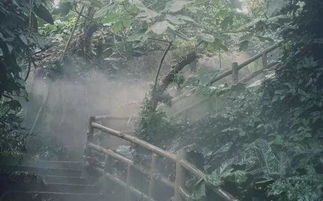 福州下雨哪里好玩