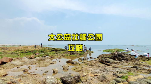 福州免费赶海攻略