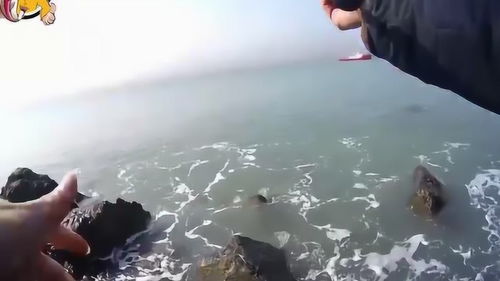 福州的钓鱼攻略