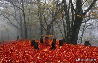 福州红叶哪里好玩