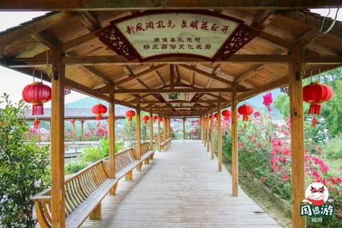 福州真好玩