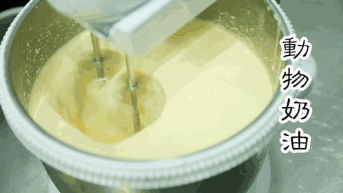 福州春茶哪家好吃