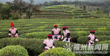 福州 茶 旅游攻略