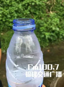 福州大桶水好玩项目