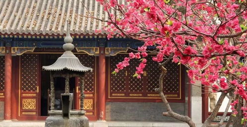 福州春色旅游攻略