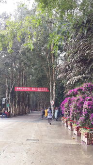 2016福州春节攻略