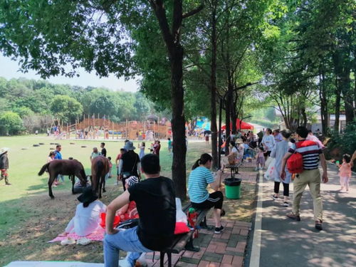 福州亲子乐园好玩地方