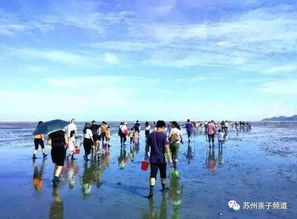 福州哪里赶海现在好玩