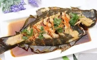 福州哪里海鱼好玩