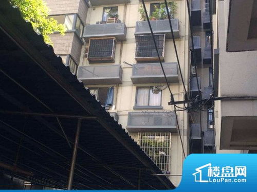 福州东泰好玩吗