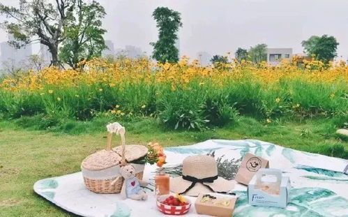 福州野餐哪家好吃