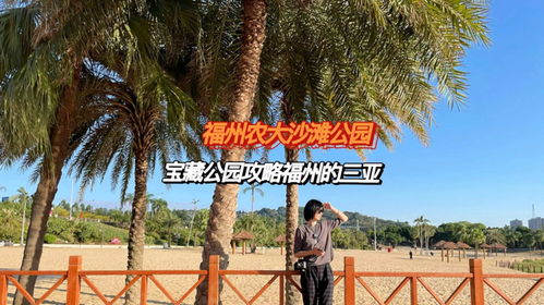 福州农大沙滩公园好玩
