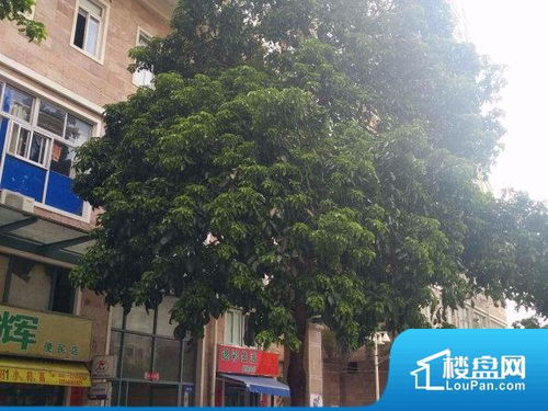 福州日出东方攻略