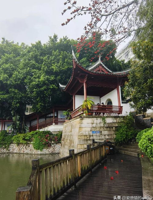 福州早上去哪好玩