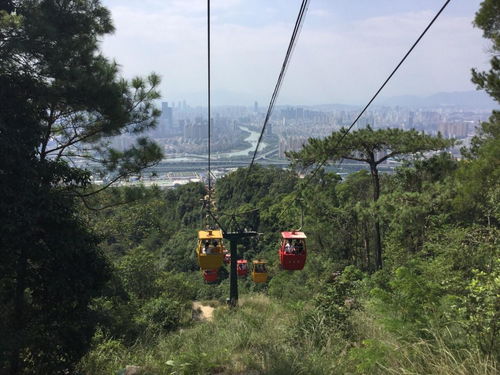 福州旅游攻略露营