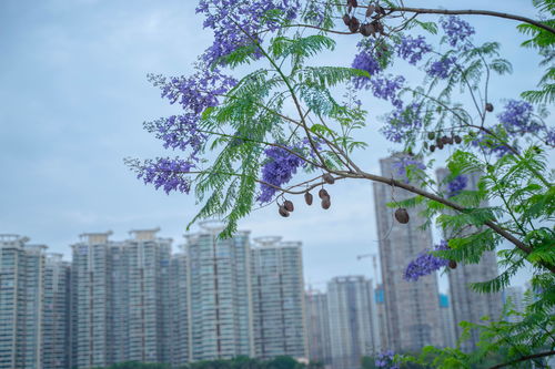 福州教堂打卡攻略