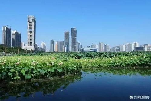 福州到洛阳好玩景点