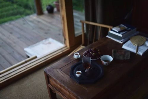 福州泡茶看书哪里好玩