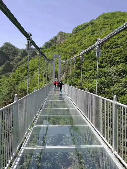福州龙井旅游攻略