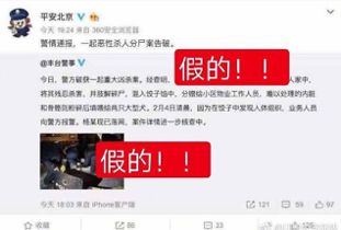 男子造谣杀人案 公安网安打谣