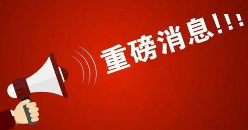 盘点今年光速掉粉的五大网红
