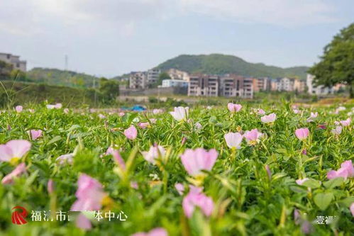 福州福清五一哪里好玩