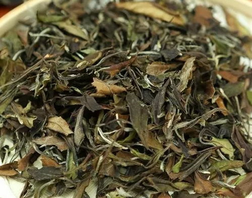 福州买白茶攻略