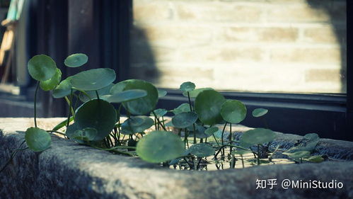 比较冷门的好玩福州