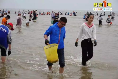 福州沙滩赶海攻略