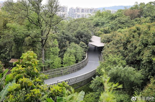 福州城区吃玩攻略