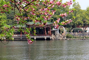 福州有啥好玩公园