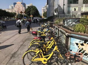 福州晚上哪里好玩骑车